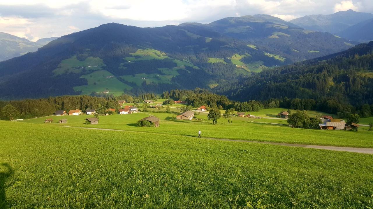Schrandl Apartment Penningberg Hopfgarten im Brixental Eksteriør bilde