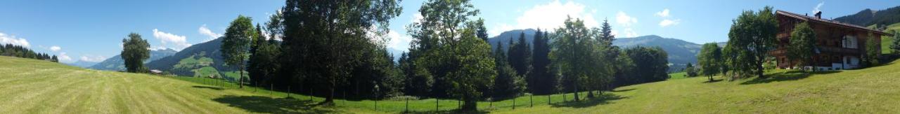 Schrandl Apartment Penningberg Hopfgarten im Brixental Eksteriør bilde