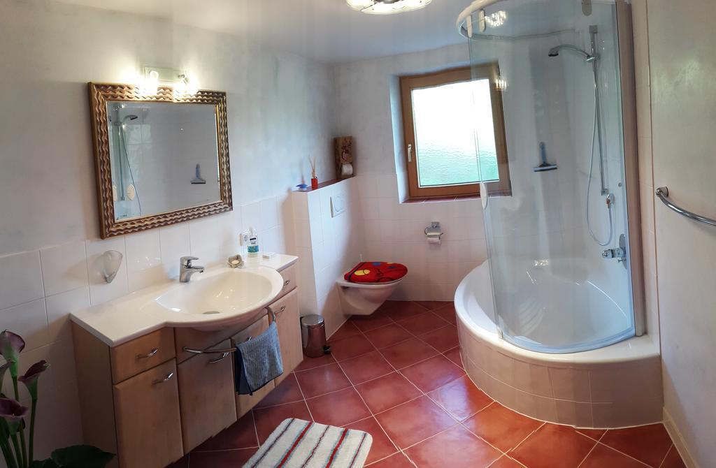 Schrandl Apartment Penningberg Hopfgarten im Brixental Rom bilde