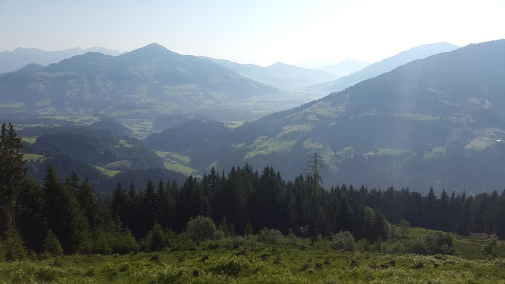 Schrandl Apartment Penningberg Hopfgarten im Brixental Rom bilde