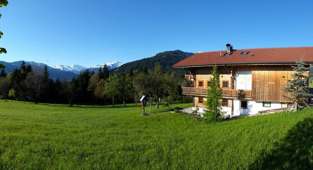 Schrandl Apartment Penningberg Hopfgarten im Brixental Eksteriør bilde