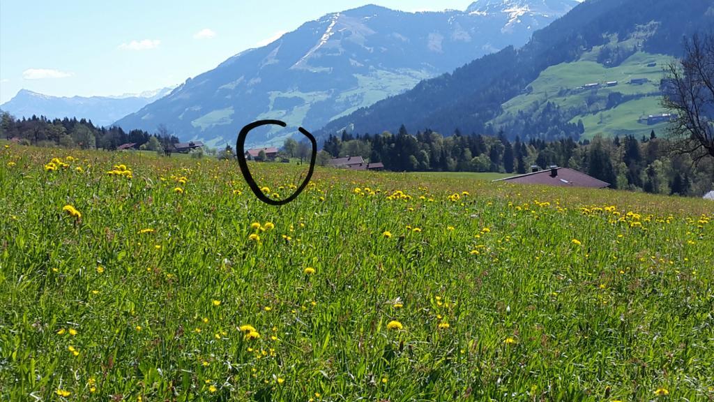 Schrandl Apartment Penningberg Hopfgarten im Brixental Eksteriør bilde
