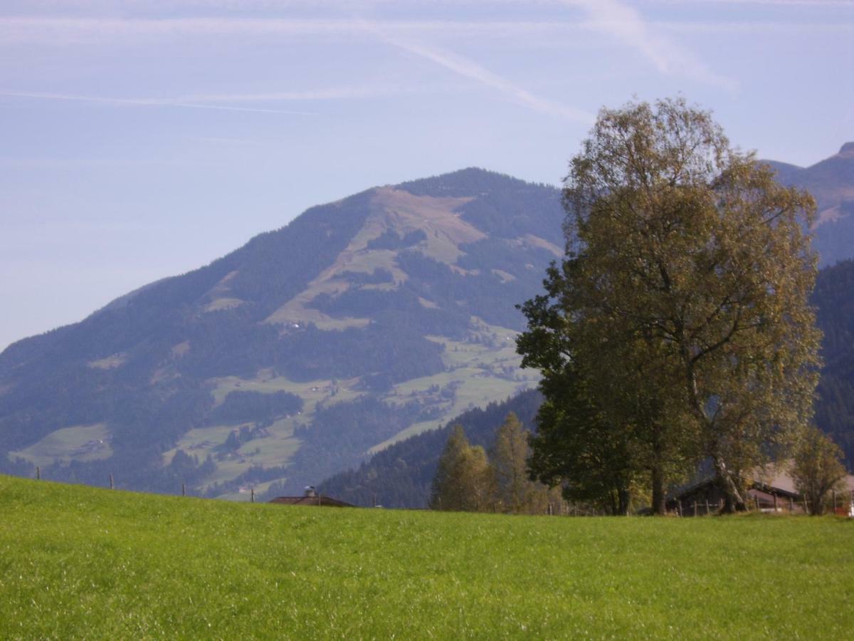 Schrandl Apartment Penningberg Hopfgarten im Brixental Eksteriør bilde
